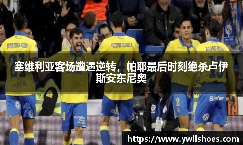 k1体育