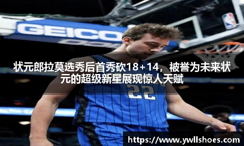 k1体育