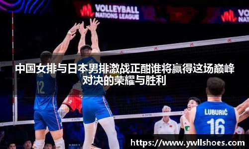 k1体育