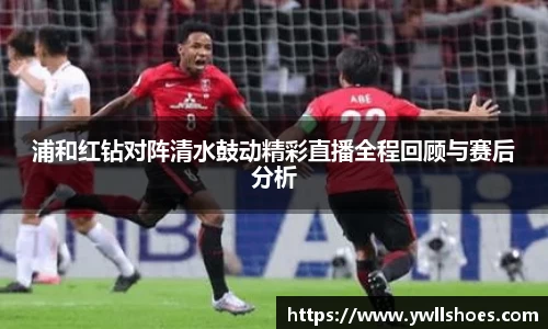 k1体育