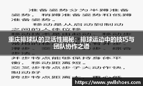 k1体育官网