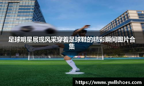 k1体育官网