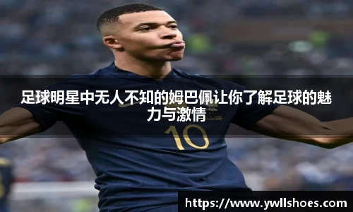 k1体育-十年品牌